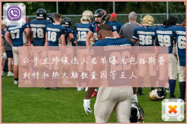 公牛主帅候选人名单曝光包括斯普利特和热火助教奎因等五人