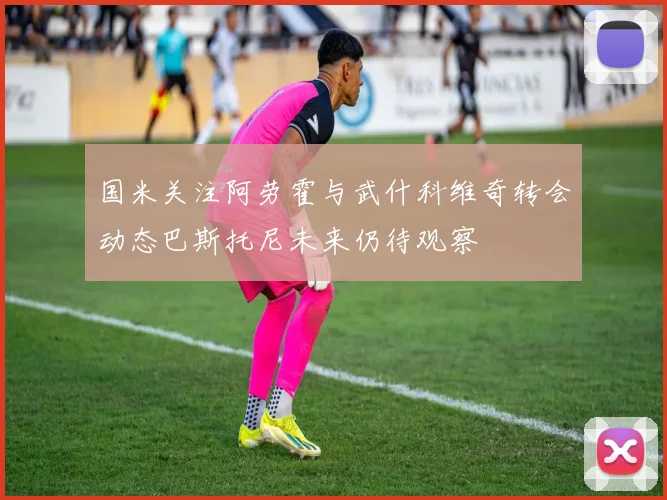 国米关注阿劳霍与武什科维奇转会动态巴斯托尼未来仍待观察